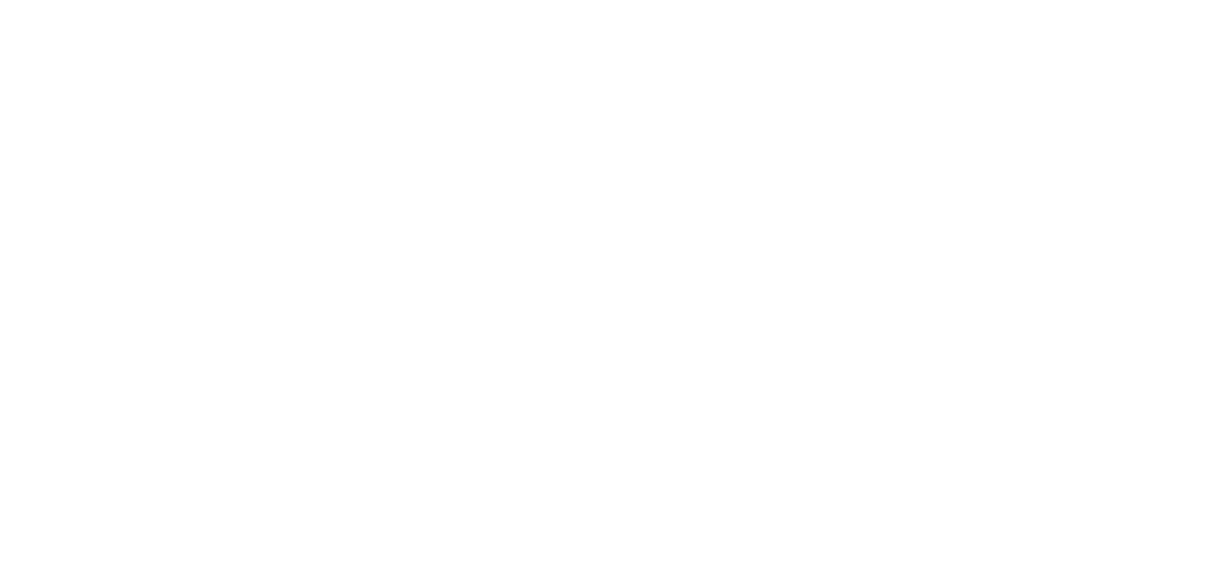 BELLES SURFACES